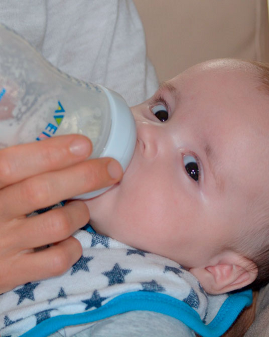 Classic Almilla
1600