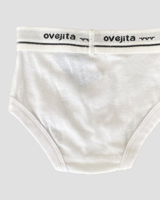 Interior Clásico 1000