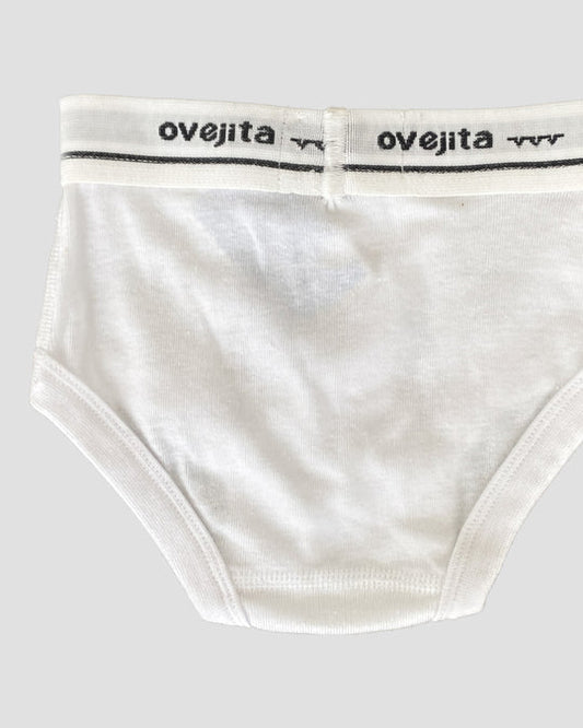 Interior Clásico 1000