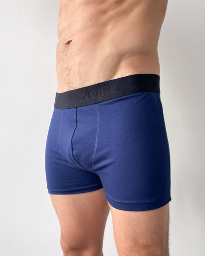 Interior Boxer Boston 1014