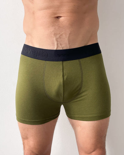 Interior Boxer Boston 1014