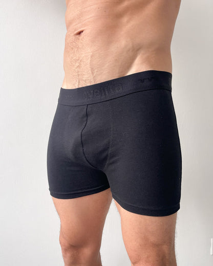 Interior Boxer Boston 1014