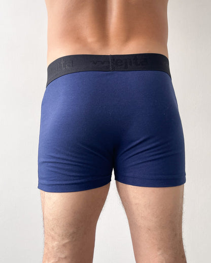 Interior Boxer Boston 1014