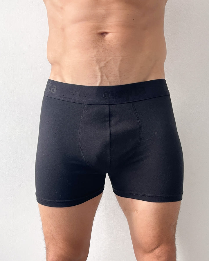 Interior Boxer Boston 1014