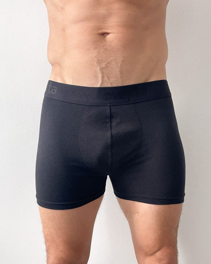 Interior Boxer Boston 1014