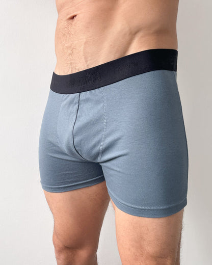 Interior Boxer Boston 1014